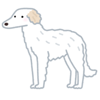 Borzoi (dog)