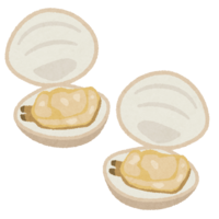 Open shellfish (clam)