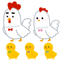Chicken family (Rooster year-Zodiac)