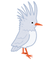 Kagu