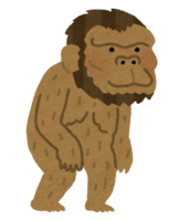 古猿(猿人人类进化)