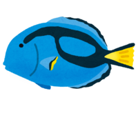 Blue tang (tropical fish)