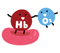 ヘモグロビンと結合する酸素
