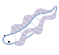 Skyfish