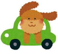 Illustration of driving with a dog (pet)