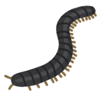 Millipede