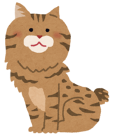 American-Bobtail (cat)