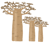 Baobab tree