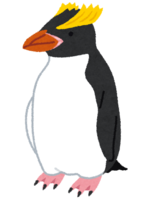 Schlater Penguins