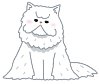 Persian cat (cat)