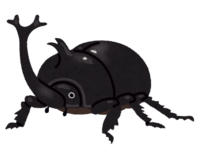 Male beetle (black-brown)