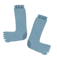 Toe socks