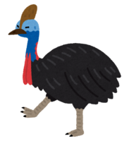 Cassowary