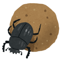 Scarab-Dung beetle