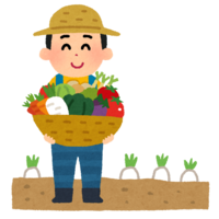 Vegetable farmer (agriculture)