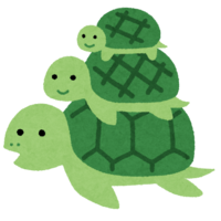 Parent and child of a three-tiered turtle