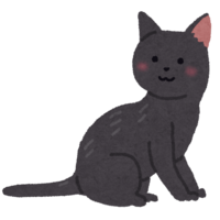 Bombay (cat)