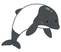 Panda dolphin-Commerson's dolphin