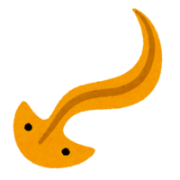 Hammerhead worm character