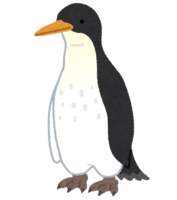 大型企鹅