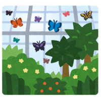 温室植物园(蝴蝶)