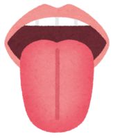 いろいろな形の舌