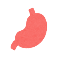 Stomach icon (internal organs)