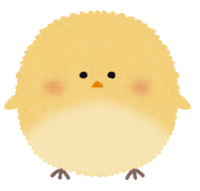 Fluffy round bird