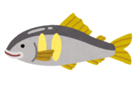 Ayu character (fish)