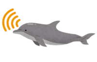 Dolphin that emits ultrasonic waves