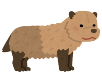 Bush dog