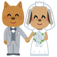 Bride and groom (dog)