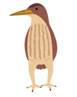 Yellow bittern