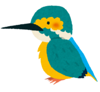 Kingfisher (bird)