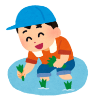 Children planting rice