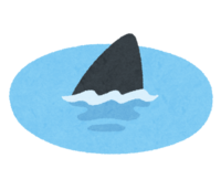 水面から出たサメのヒレ