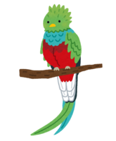 Quetzal