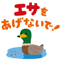 (Don't feed) (Duck)