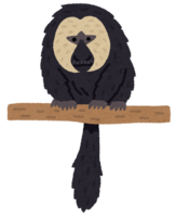 White-faced saki (monkey)