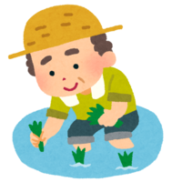 A farmer planting rice