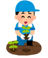 Boy planting seedlings