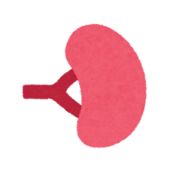 Spleen icon (internal organs)