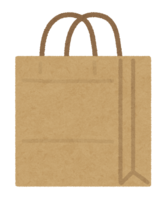 Paper bag (brown-white)