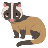 Palm civet