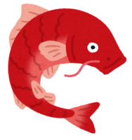 赤い鯉