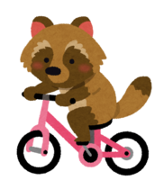 Raccoon dog on a bicycle (animal)