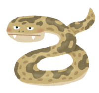 ハブ(蛇)