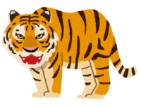 Tiger with a scary face