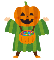 Halloween costume (pumpkin disguise)