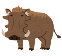 Desert Warthog